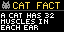 Cat Fact